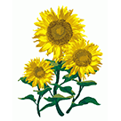 Embroidme, Vector Artwork